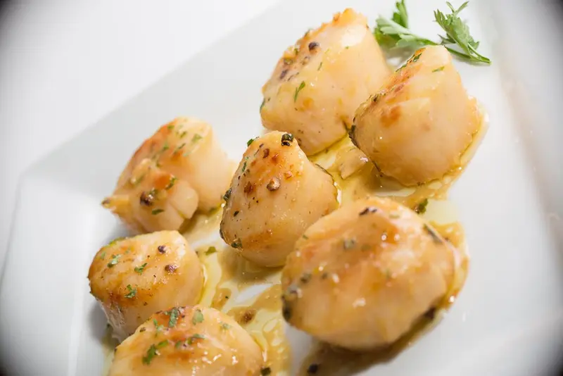 Golden seared scallops